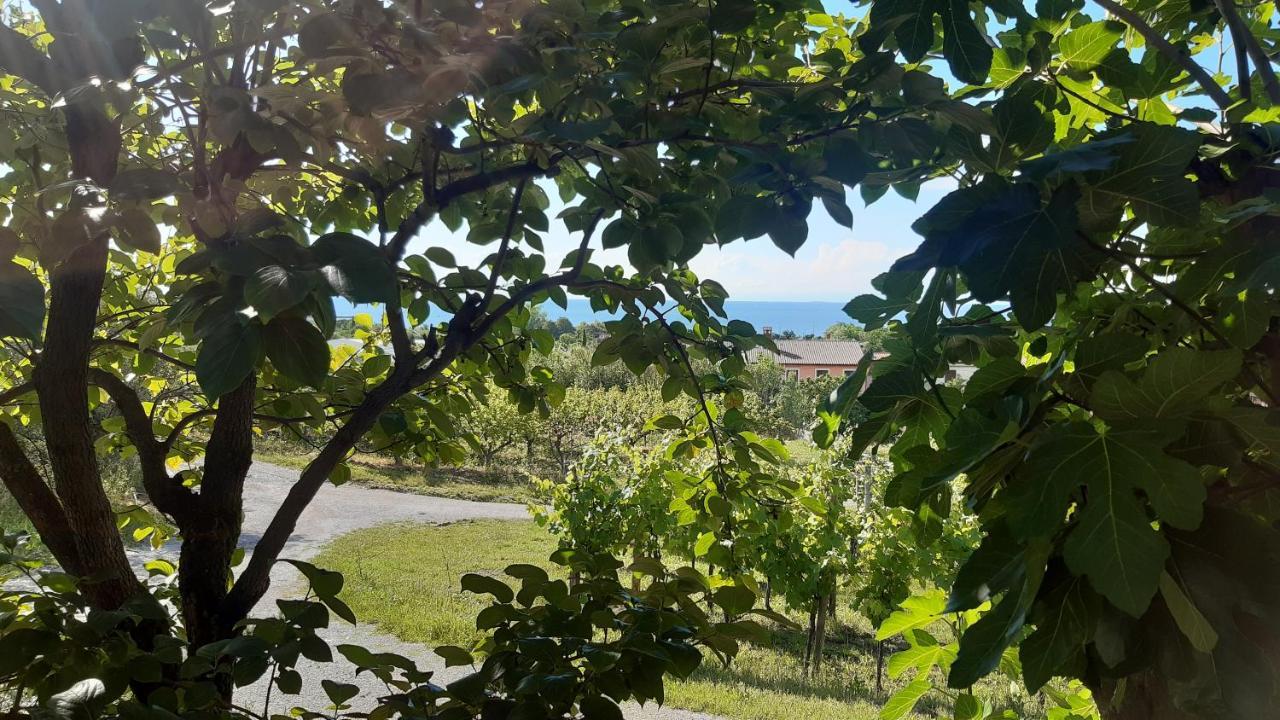 Apartma Tul Izola Eksteriør bilde